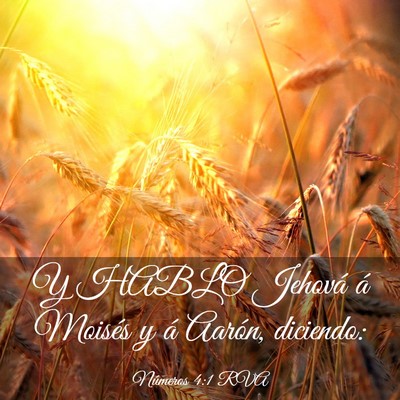 Picture 03 - Números 4:1 RVA - Y HABLO Jehová á Moisés y á Aarón, - Bible Verse Picture