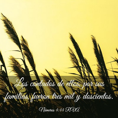Picture 03 - Números 4:44 RVA - Los contados de ellos, por sus familias, fueron - Bible Verse Picture