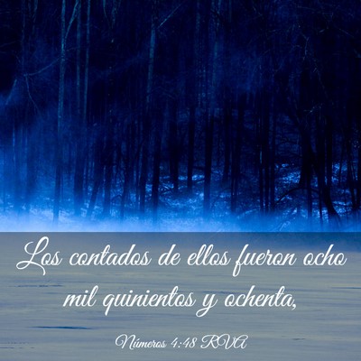 Picture 03 - Números 4:48 RVA - Los contados de ellos fueron ocho mil quinientos - Bible Verse Picture