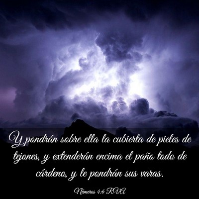 Picture 03 - Números 4:6 RVA - Y pondrán sobre ella la cubierta de pieles de - Bible Verse Picture