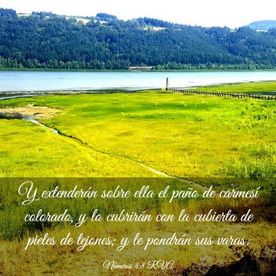 Picture 03 - Números 4:8 RVA - Y extenderán sobre ella el paño de carmesí - Bible Verse Picture