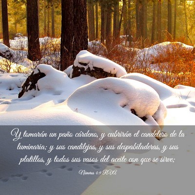Picture 03 - Números 4:9 RVA - Y tomarán un paño cárdeno, y cubrirán el - Bible Verse Picture