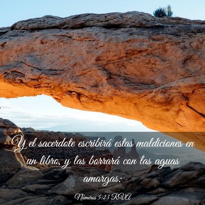 Picture 03 - Números 5:23 RVA - Y el sacerdote escribirá estas maldiciones en un - Bible Verse Picture