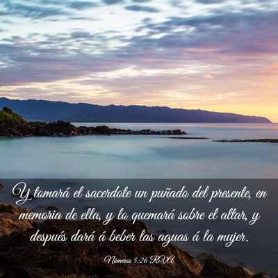 Picture 03 - Números 5:26 RVA - Y tomará el sacerdote un puñado del presente, - Bible Verse Picture