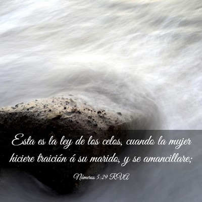 Picture 03 - Números 5:29 RVA - Esta es la ley de los celos, cuando la mujer - Bible Verse Picture