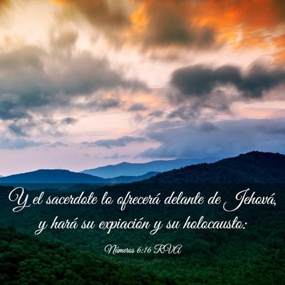 Picture 03 - Números 6:16 RVA - Y el sacerdote lo ofrecerá delante de Jehová, y - Bible Verse Picture