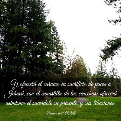 Picture 03 - Números 6:17 RVA - Y ofrecerá el carnero en sacrificio de paces á - Bible Verse Picture