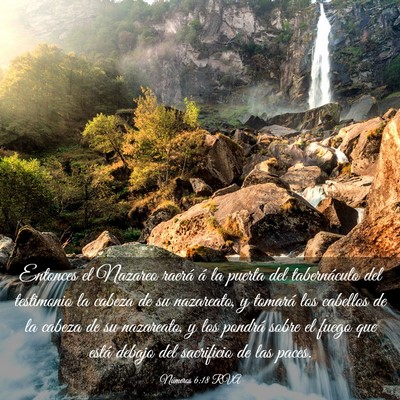 Picture 03 - Números 6:18 RVA - Entonces el Nazareo raerá á la puerta del - Bible Verse Picture