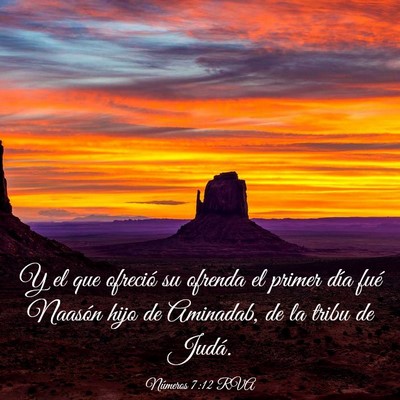Picture 03 - Números 7:12 RVA - Y el que ofreció su ofrenda el primer día fué - Bible Verse Picture