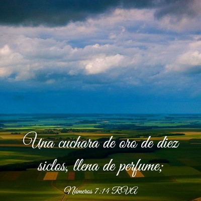 Picture 03 - Números 7:14 RVA - Una cuchara de oro de diez siclos, llena de - Bible Verse Picture