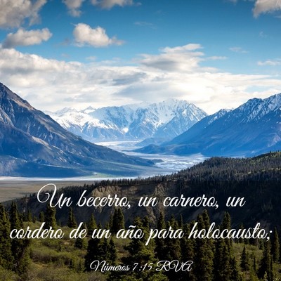 Picture 03 - Números 7:15 RVA - Un becerro, un carnero, un cordero de un año - Bible Verse Picture