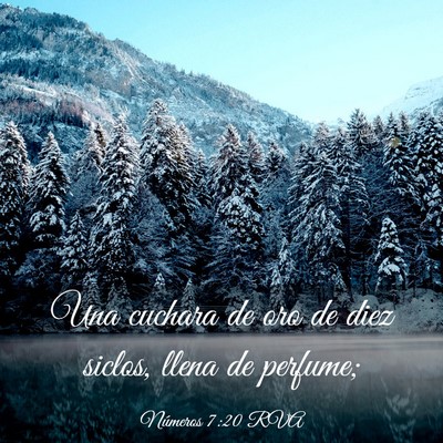 Picture 03 - Números 7:20 RVA - Una cuchara de oro de diez siclos, llena de - Bible Verse Picture