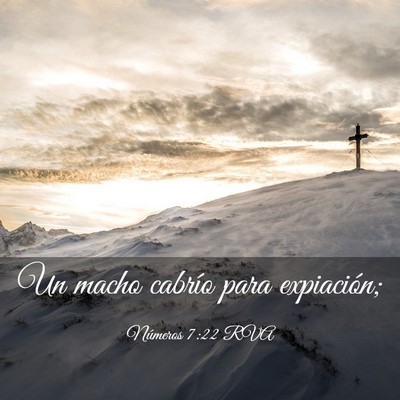 Picture 03 - Números 7:22 RVA - Un macho cabrío para - Bible Verse Picture