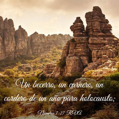 Picture 03 - Números 7:27 RVA - Un becerro, un carnero, un cordero de un año - Bible Verse Picture