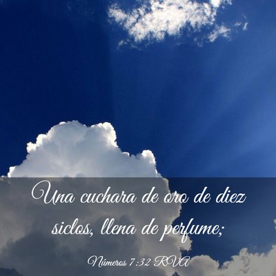 Picture 03 - Números 7:32 RVA - Una cuchara de oro de diez siclos, llena de - Bible Verse Picture
