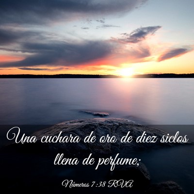 Picture 03 - Números 7:38 RVA - Una cuchara de oro de diez siclos llena de - Bible Verse Picture
