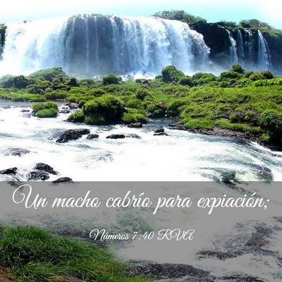 Picture 03 - Números 7:40 RVA - Un macho cabrío para - Bible Verse Picture