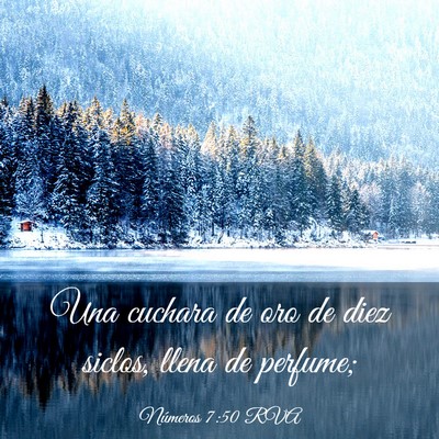 Picture 03 - Números 7:50 RVA - Una cuchara de oro de diez siclos, llena de - Bible Verse Picture