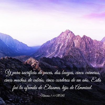 Picture 03 - Números 7:53 RVA - Y para sacrificio de paces, dos bueyes, cinco - Bible Verse Picture