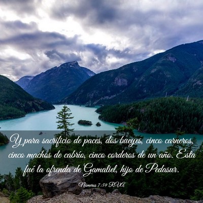 Picture 03 - Números 7:59 RVA - Y para sacrificio de paces, dos bueyes, cinco - Bible Verse Picture