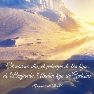 Picture 03 - Números 7:60 RVA - El noveno día, el príncipe de los hijos de - Bible Verse Picture