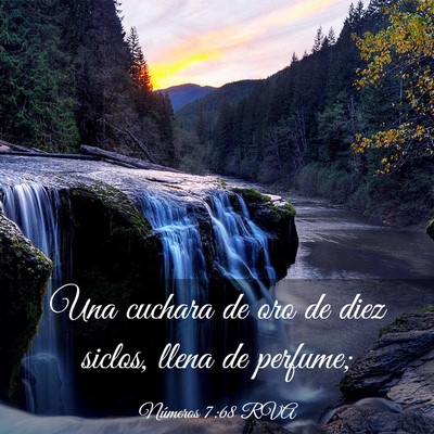 Picture 03 - Números 7:68 RVA - Una cuchara de oro de diez siclos, llena de - Bible Verse Picture