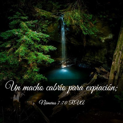 Picture 03 - Números 7:70 RVA - Un macho cabrío para - Bible Verse Picture