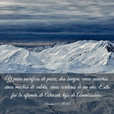 Picture 03 - Números 7:71 RVA - Y para sacrificio de paces, dos bueyes, cinco - Bible Verse Picture