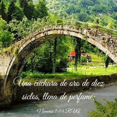 Picture 03 - Números 7:74 RVA - Una cuchara de oro de diez siclos, llena de - Bible Verse Picture