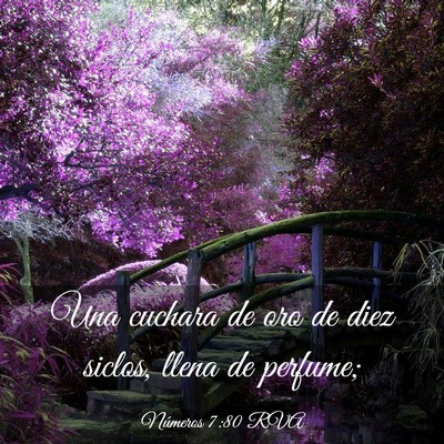 Picture 03 - Números 7:80 RVA - Una cuchara de oro de diez siclos, llena de - Bible Verse Picture