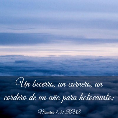 Picture 03 - Números 7:81 RVA - Un becerro, un carnero, un cordero de un año - Bible Verse Picture