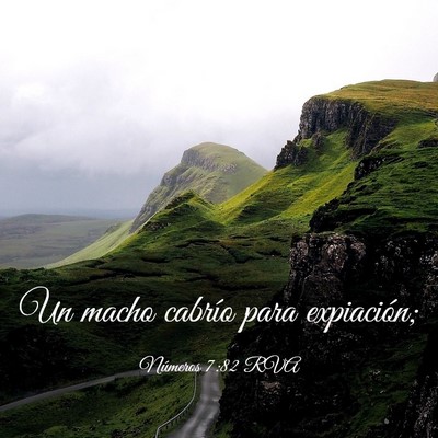 Picture 03 - Números 7:82 RVA - Un macho cabrío para - Bible Verse Picture