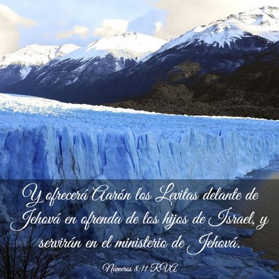 Picture 03 - Números 8:11 RVA - Y ofrecerá Aarón los Levitas delante de Jehová - Bible Verse Picture