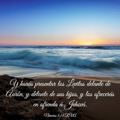 Picture 03 - Números 8:13 RVA - Y harás presentar los Levitas delante de Aarón, - Bible Verse Picture
