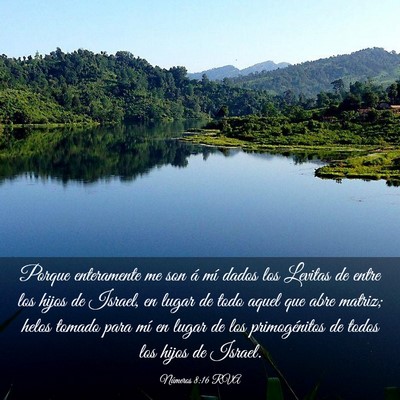 Picture 03 - Números 8:16 RVA - Porque enteramente me son á mí dados los - Bible Verse Picture