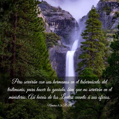 Picture 03 - Números 8:26 RVA - Pero servirán con sus hermanos en el - Bible Verse Picture