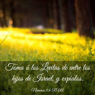Picture 03 - Números 8:6 RVA - Toma á los Levitas de entre los hijos de Israel, - Bible Verse Picture