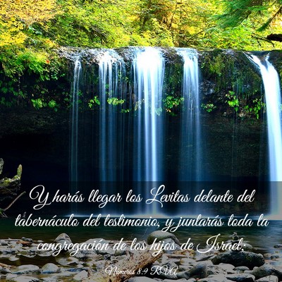 Picture 03 - Números 8:9 RVA - Y harás llegar los Levitas delante del - Bible Verse Picture