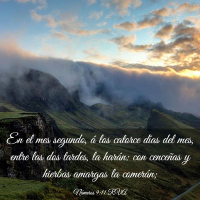 Picture 03 - Números 9:11 RVA - En el mes segundo, á los catorce días del mes, - Bible Verse Picture