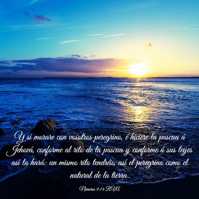 Picture 03 - Números 9:14 RVA - Y si morare con vosotros peregrino, é hiciere la - Bible Verse Picture