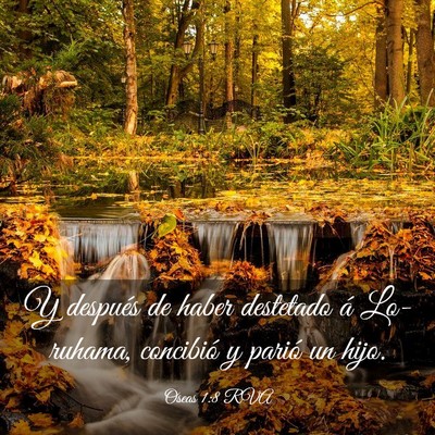 Picture 03 - Oseas 1:8 RVA - Y después de haber destetado á Lo-ruhama, - Bible Verse Picture