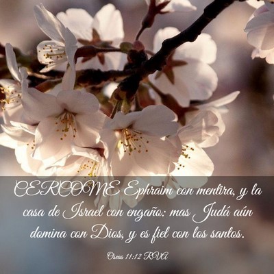 Picture 03 - Oseas 11:12 RVA - CERCOME Ephraim con mentira, y la casa de Israel - Bible Verse Picture