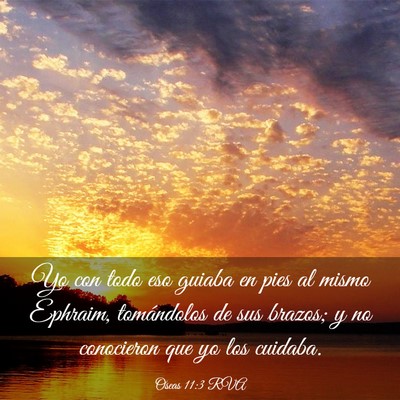 Picture 03 - Oseas 11:3 RVA - Yo con todo eso guiaba en pies al mismo Ephraim, - Bible Verse Picture