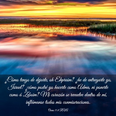 Picture 03 - Oseas 11:8 RVA - ¿Cómo tengo de dejarte, oh Ehpraim? ¿he de - Bible Verse Picture