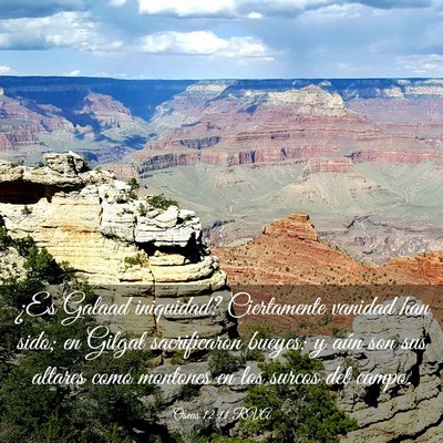 Picture 03 - Oseas 12:11 RVA - ¿Es Galaad iniquidad? Ciertamente vanidad han - Bible Verse Picture