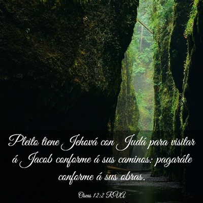 Picture 03 - Oseas 12:2 RVA - Pleito tiene Jehová con Judá para visitar á - Bible Verse Picture