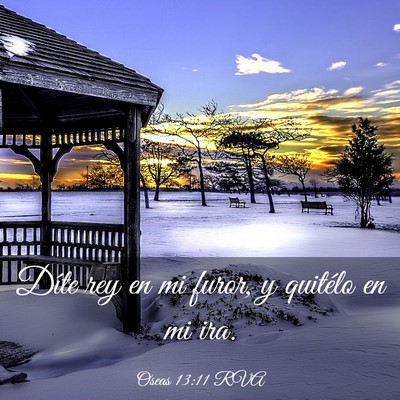 Picture 03 - Oseas 13:11 RVA - Díte rey en mi furor, y quitélo en mi - Bible Verse Picture