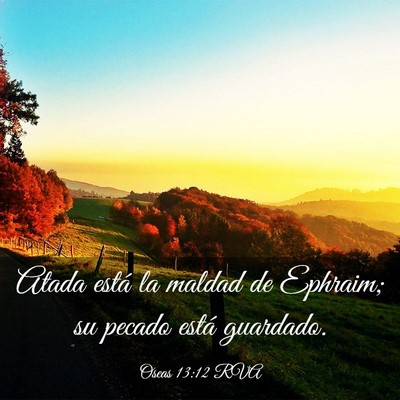 Picture 03 - Oseas 13:12 RVA - Atada está la maldad de Ephraim; su pecado está - Bible Verse Picture