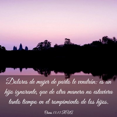 Picture 03 - Oseas 13:13 RVA - Dolores de mujer de parto le vendrán: es un hijo - Bible Verse Picture