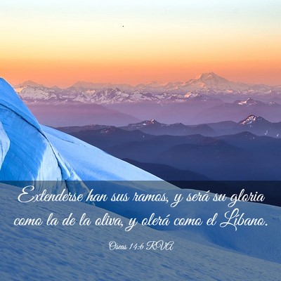 Picture 03 - Oseas 14:6 RVA - Extenderse han sus ramos, y será su gloria como - Bible Verse Picture